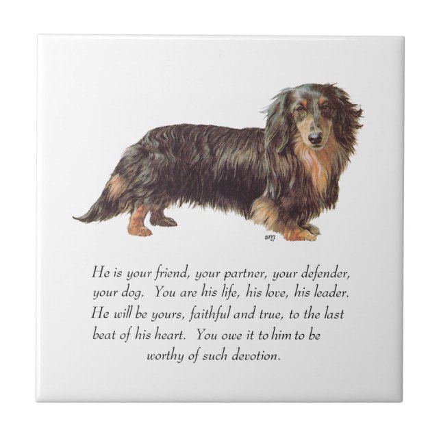 Dachshund Keepsake - Male Tile (Front)