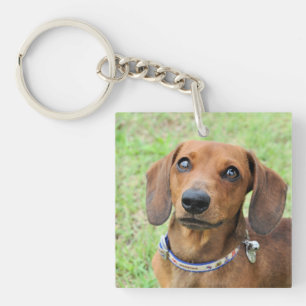 Dachshund  keychain
