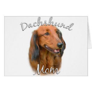 Dachshund (longhaired) Mom 2