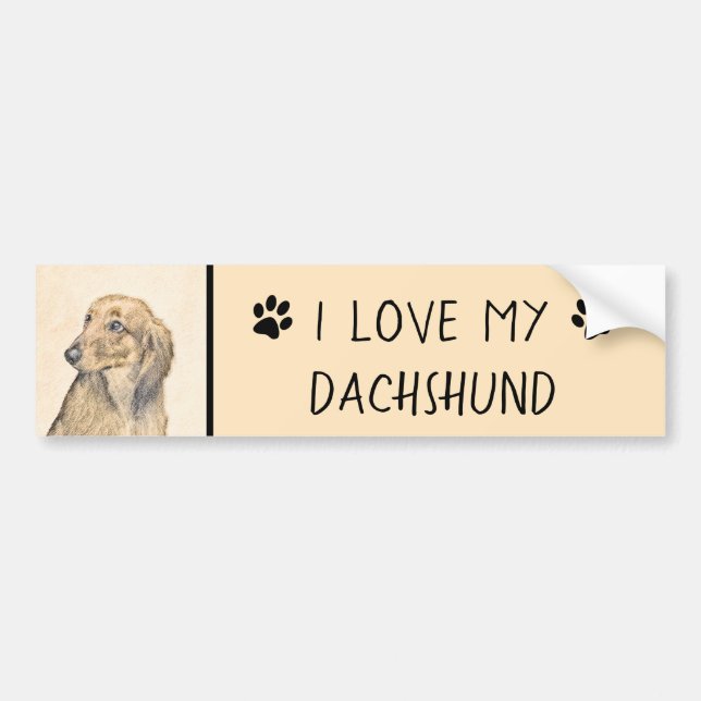Dachshund (Longhaired) Painting - Original Dog Art Bumper Sticker (Front)