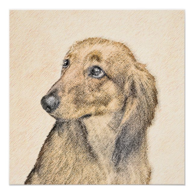 Dachshund (Longhaired) Painting - Original Dog Art Poster (Front)
