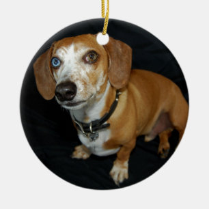 Dachshund Love Ceramic Ornament