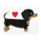 Dachshund Love