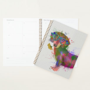 Dachshund & Lunettes Rainbow Splash