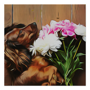 Dachshund Lying On The Wooden Floor Poster