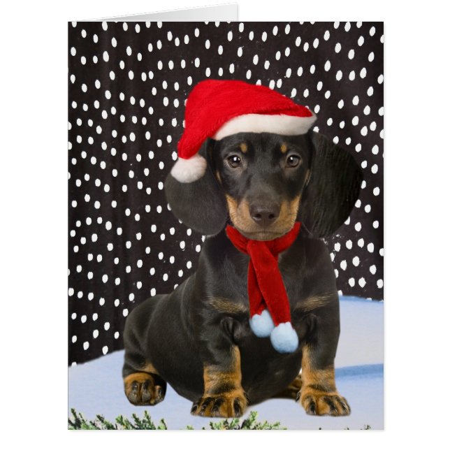 Dachshund Merry Christmas (Front)