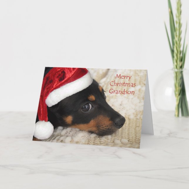 Dachshund Merry Christmas Grandson Holiday Card (Front)