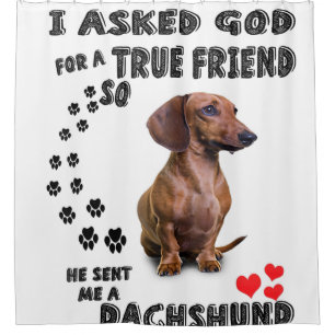 Dachshund Miniature Gift, Sausage Dog, Weenie Wog,