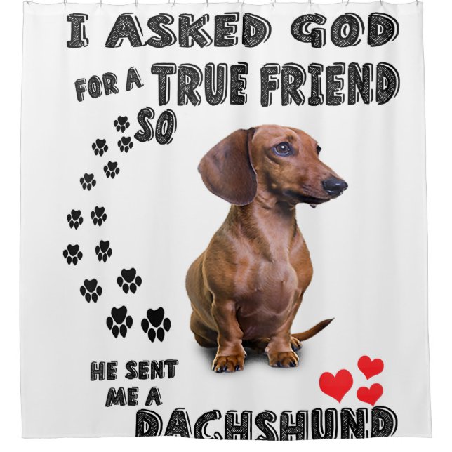 Dachshund Miniature Gift, Sausage Dog, Weenie Wog, (Front)