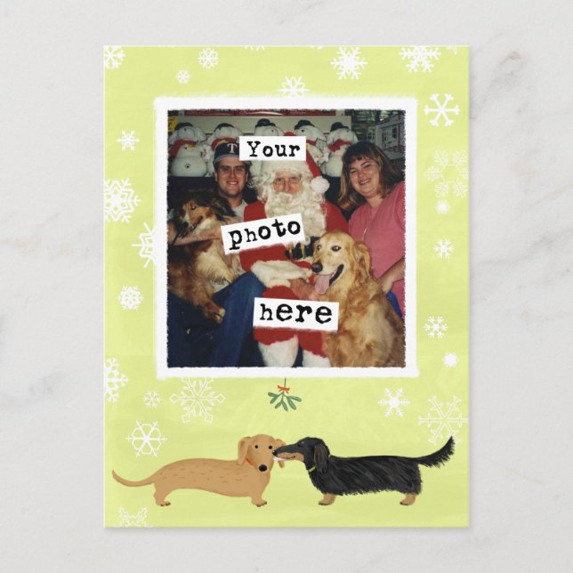 Dachshund Mistletoe Wiener Dogs Photo Template Postcard (Front)