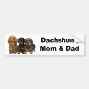 Dachshund Mom & Dad Bumper Sticker