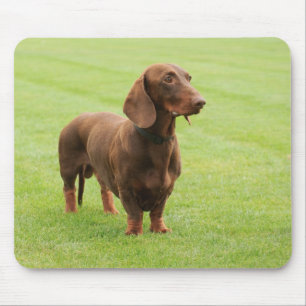 Dachshund Mouse Pad