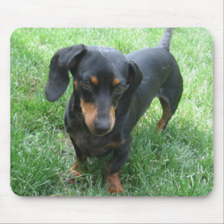 Dachshund Mouse Pad
