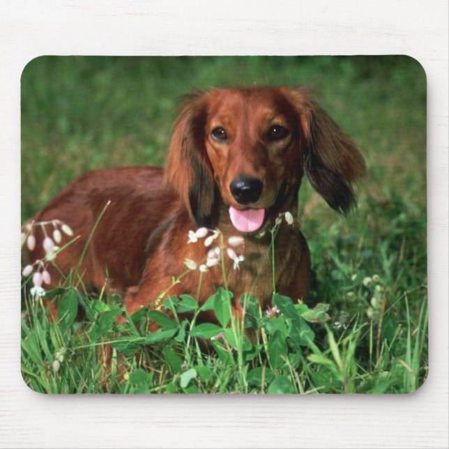 Dachshund Mouse Pad (Front)