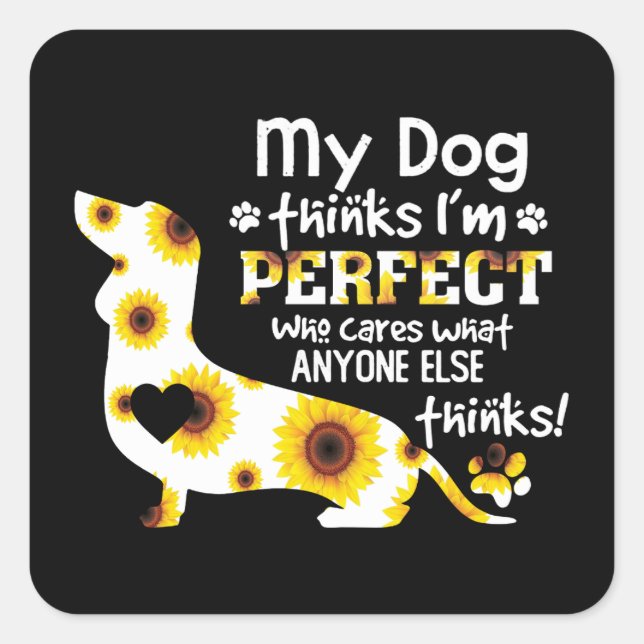 Dachshund My Dog Thinks I'm Perfect Funny Saying Square Sticker (Front)