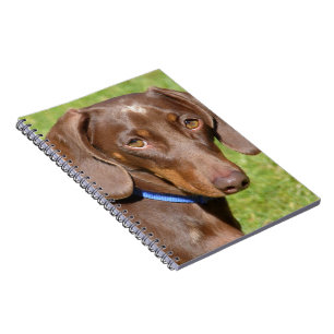 Dachshund Notebook