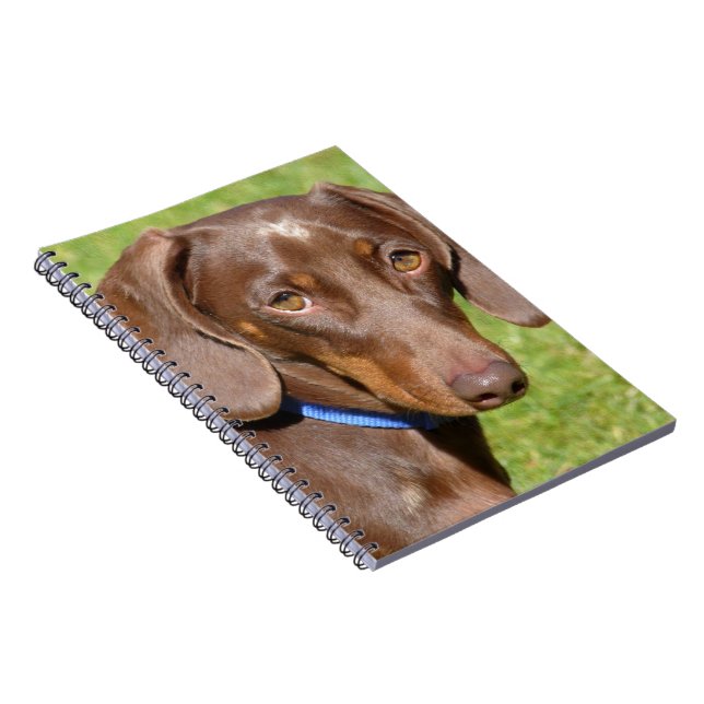 Dachshund Notebook (Right Side)