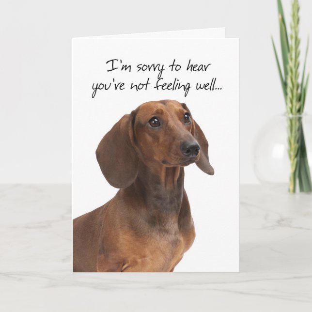 Dachshund Obtenir une carte de puits (Devant)