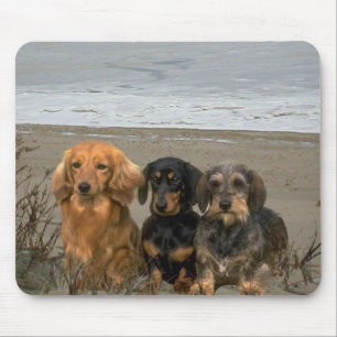 Dachshund On Beach Mousepad