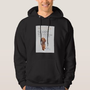 Dachshund Online Shop Ecommerce Seller 404 Dog Pa Hoodie