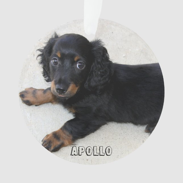 Dachshund Ornement de Noël acrylique Ajouter photo (devant)