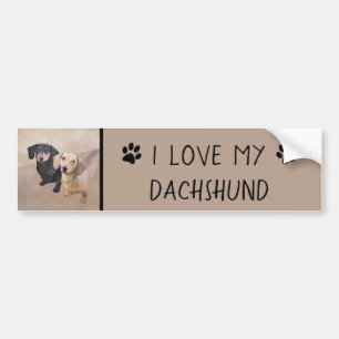 Dachshund Painting - Cute Original Dog Art Bumper Sticker