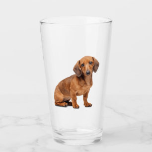 Dachshund Pet Animal Glass