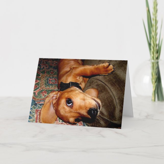 Dachshund Pet Puppy Card (Front)
