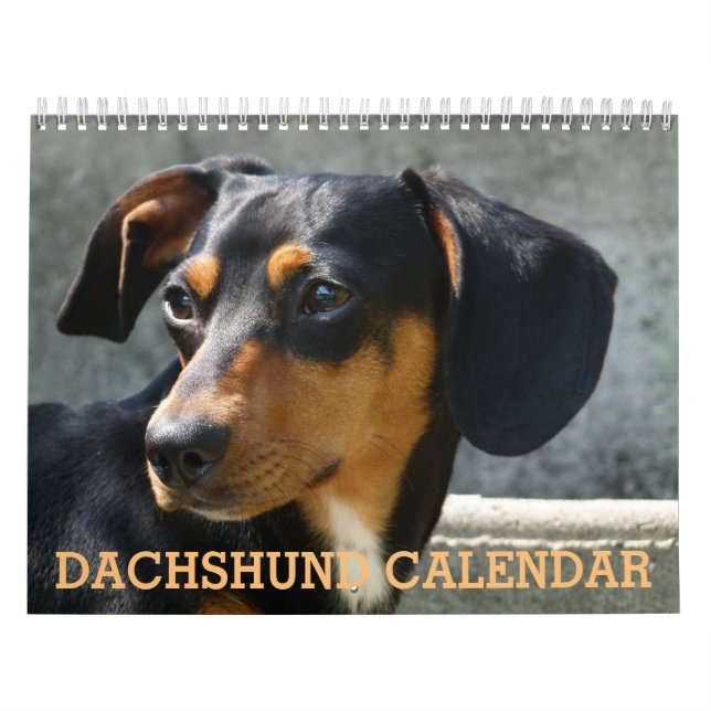 Dachshund Photo Calendar (Cover)