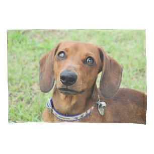 Dachshund Pillowcase