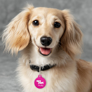 Dachshund Pink Charm Personalized Name Contact Pet Tag