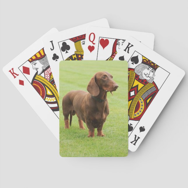 Dachshund Playing Cards (Back)