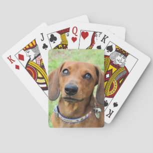 Dachshund Playing Cards