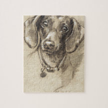 Dachshund portrait
