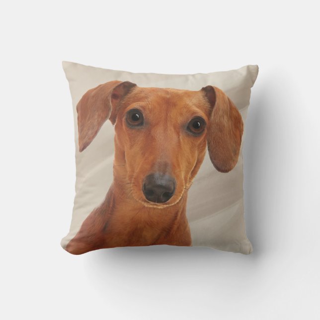 Dachshund Portrait Throw Pillow (Front)