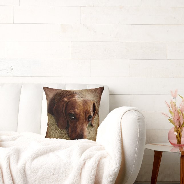 Dachshund Portrait Throw Pillow (Creator Uploaded)