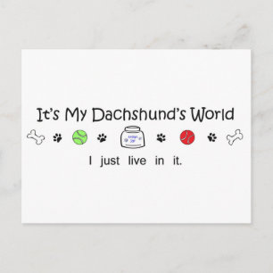 Dachshund Postcard