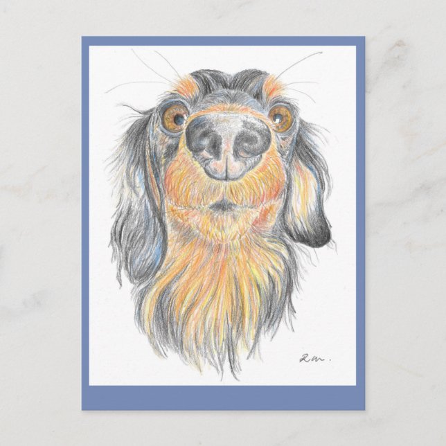 Dachshund postcard (Front)