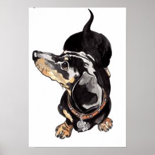 dachshund poster