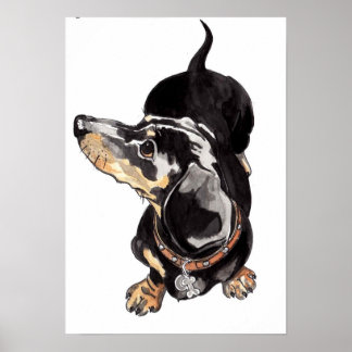 dachshund poster