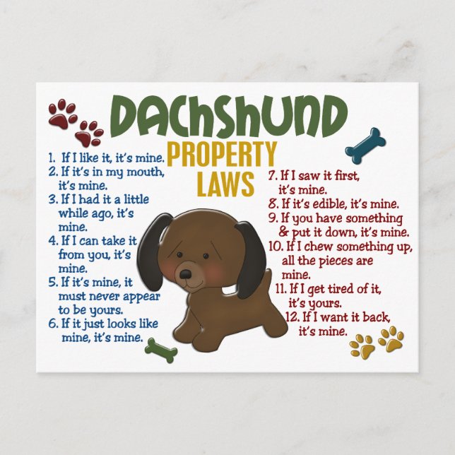 Dachshund Property Laws 4 Postcard (Front)