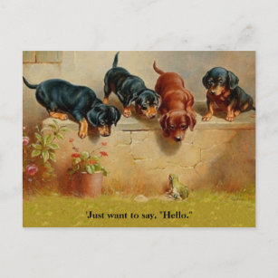 Dachshund Puppies, Frog, Hello alt Vintage art cpy Postcard
