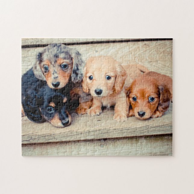 Dachshund Puppies Jigsaw Puzzle (Horizontal)