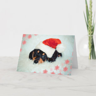 Dachshund puppy Christmas card