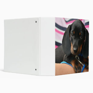 dachshund-puppy cute binder