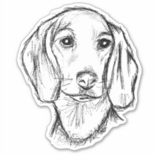 dachshund puppy dog black white simple sketch stic
