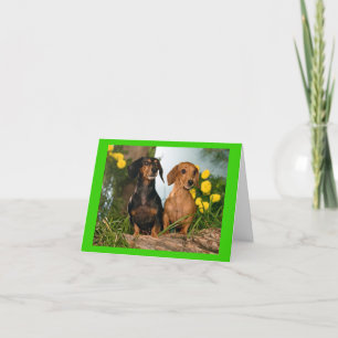 Dachshund Puppy Dog Blank Note Card