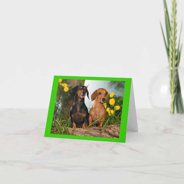 Dachshund Puppy Dog Blank Note Card (Front)