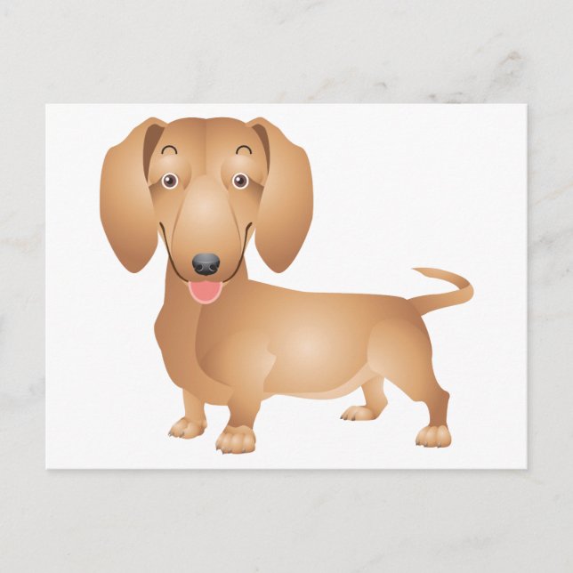 Dachshund Puppy Dog Blank Postcard (Front)