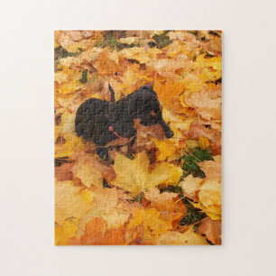Dachshund puppy jigsaw puzzle